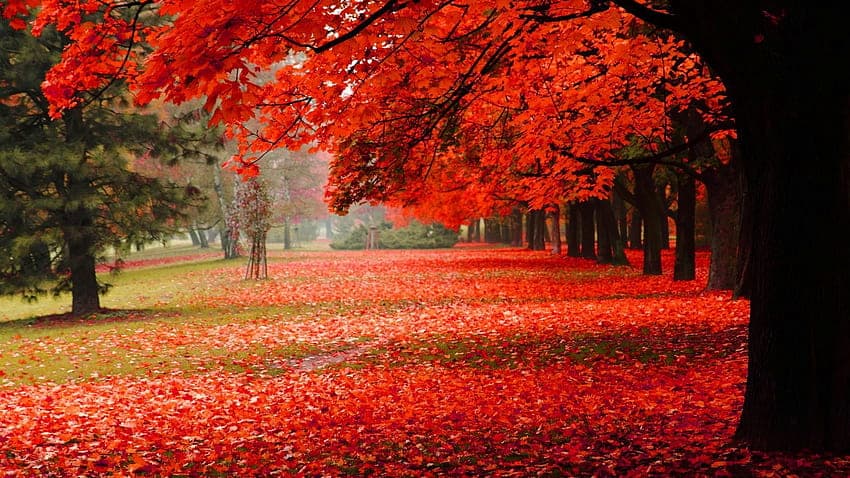 Autunno